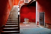 IIP Online Student Photography